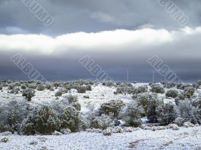 snow place
