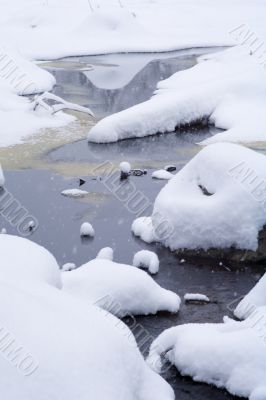 snow covered water