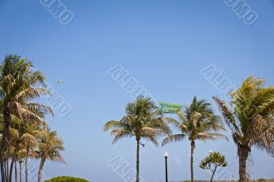 airplane advertisement airplane advertisement