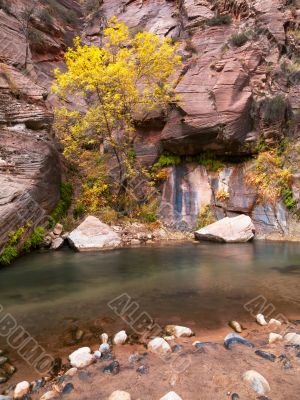 rocky stream