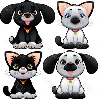 Cute dogs and cats. Cute dogs and cats.