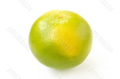 Citrus sveetie on a white background