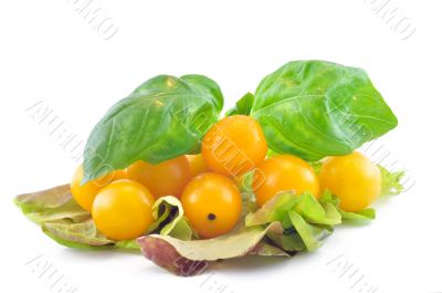Cherry tomatoes with basil and lettuce