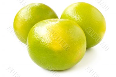 Citrus sveetie on a white background