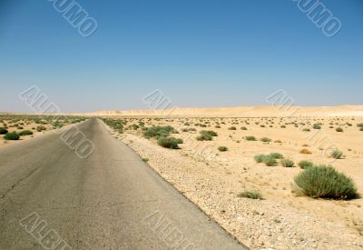 Road in the desert Road in the desert