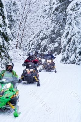 snowmobilers on a trail