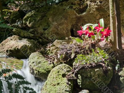 waterfall and bright pink flowers