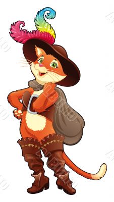 Puss in boots. Puss in boots.