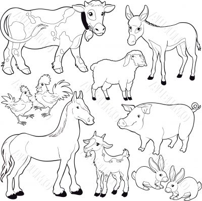 Farm animals. Farm animals.