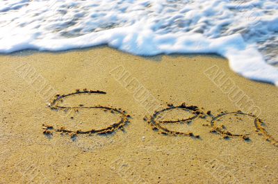 Soft wave of the sea on the sandy beach 