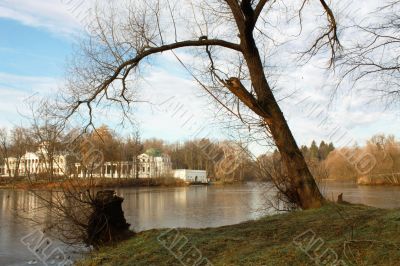 Autumn trees on the lakes bank