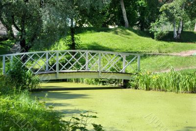 The bridge across the pond.