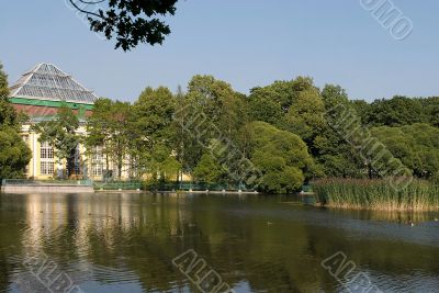 Pond in the city park.