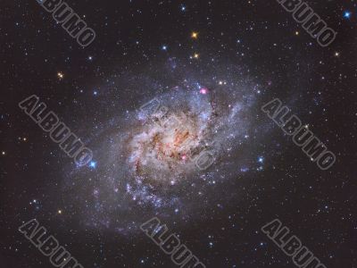 Triangulum Galaxy M33 Triangulum Galaxy M33