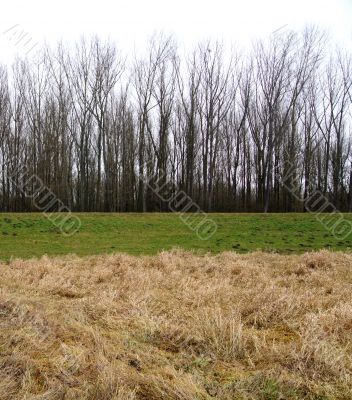 Dike of the river Elbe