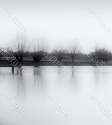 At the pond At the pond