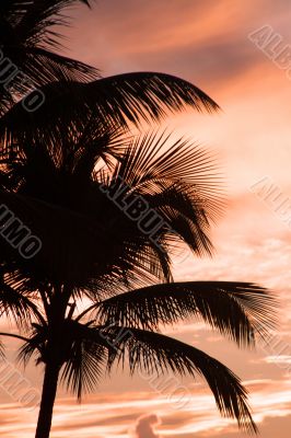 Sunset in Antigua