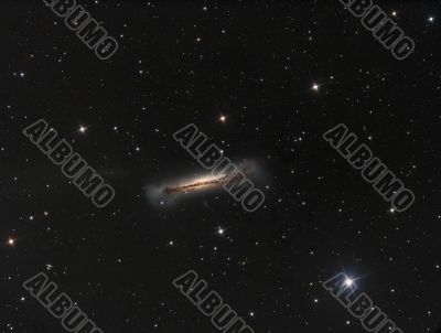 NGC3628  Part of Leo Triplet