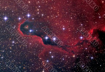 vdb142 Elephants Trunk nebula