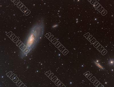 M106 spiral galaxy in constellation Canes Venatici