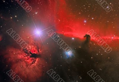 HorseHead and Flame Nebula HorseHead and Flame Nebula