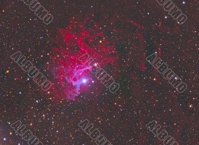 Flaming Star Nebula Flaming Star Nebula