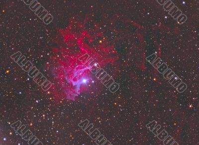 Flaming Star Nebula