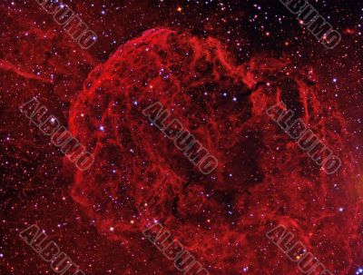 JellyFish Nebula JellyFish Nebula