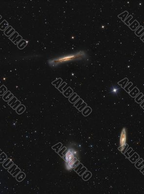 Leo Triplet Leo Triplet
