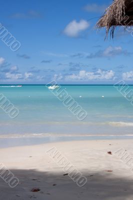 Dickenson Bay, Antigua