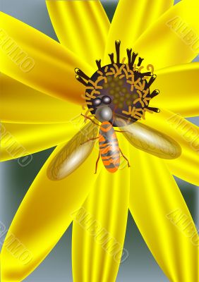 yellow flower and insect