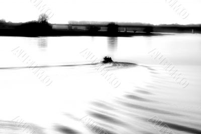 Boat waves Boat waves