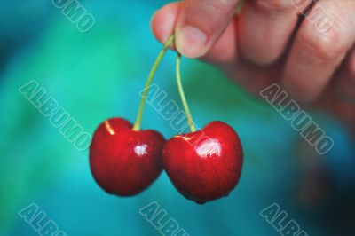 two cherry berries in hand on green background
