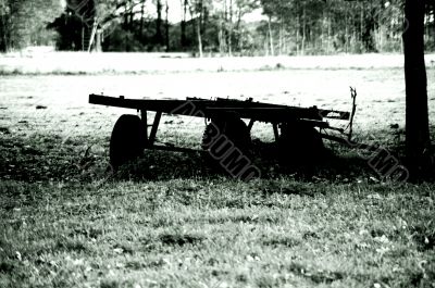 Handcarts at the edge of the forest