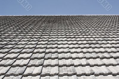 Roof tile landscape 