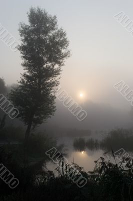 Foggy morning 2 Foggy morning 2