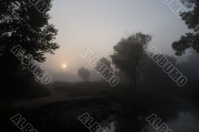 Foggy morning 3