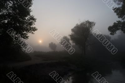 Foggy morning 3 Foggy morning 3