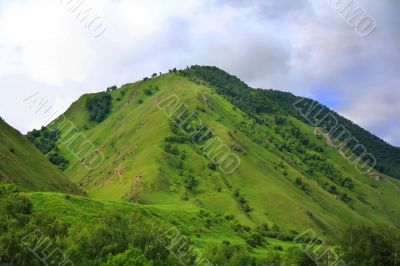 Summer landscape with Caucasus green mountains