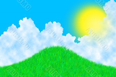 Grass on a sunny day Grass on a sunny day
