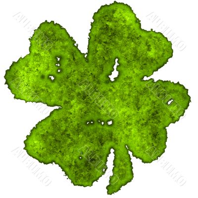 Shamrock burnt parchment