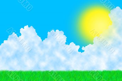 Grass on a sunny day Grass on a sunny day