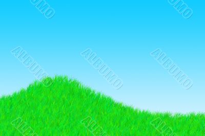 Grass on a sunny day