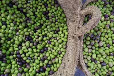 Fresh olives for sale at a Spanish market