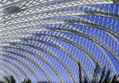 Structure of the city of Sciences in Valencia