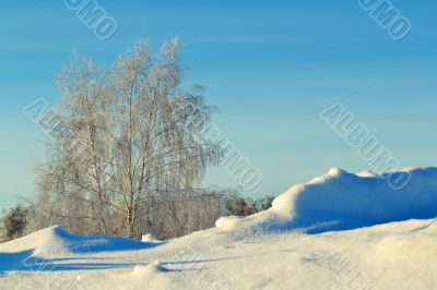 Winter day in the steppe