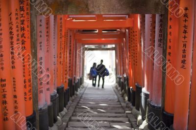 Torii Gate Tunnel