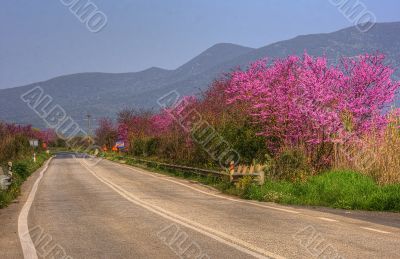 Street in Greece