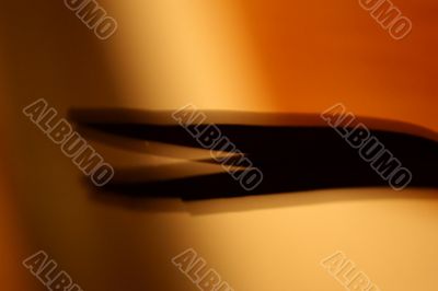 Reed decoration abstract Reed decoration abstract