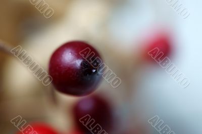 Rose hip decoration